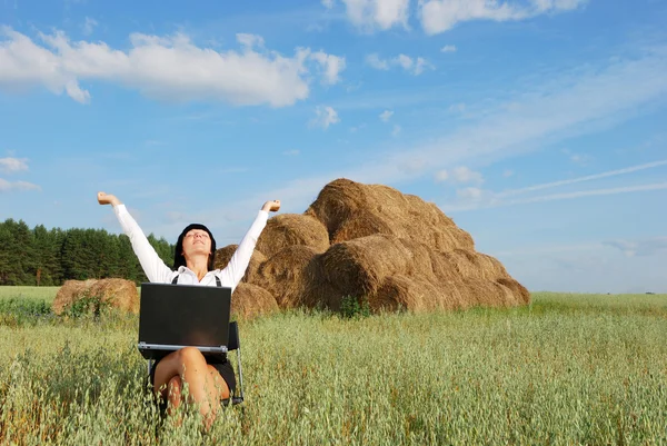 Working in agriculture field — Stock Photo, Image