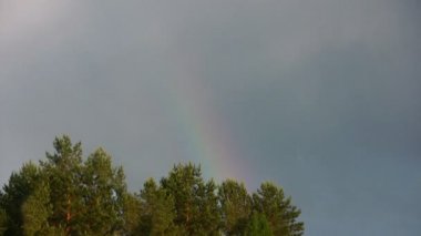 Doğum Rainbow