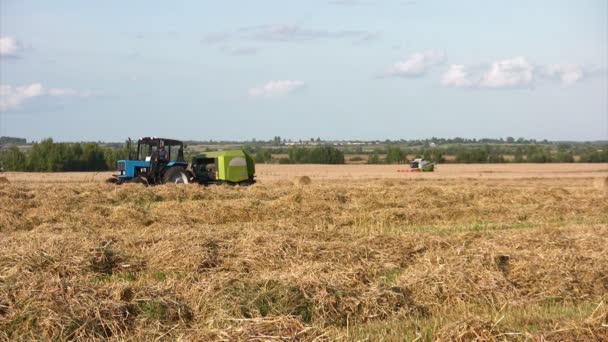 Harvest season — Stock Video