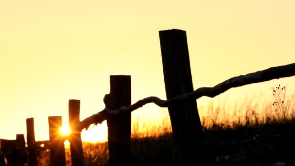 Coucher de soleil d'été 