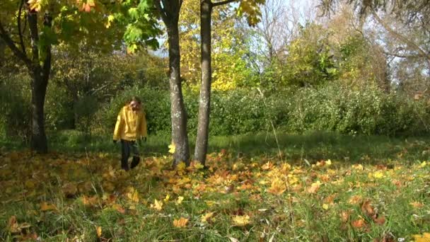 Femmes marchant dans le parc — Video