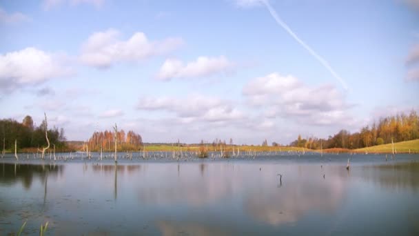 Herfst op marsh — Stockvideo