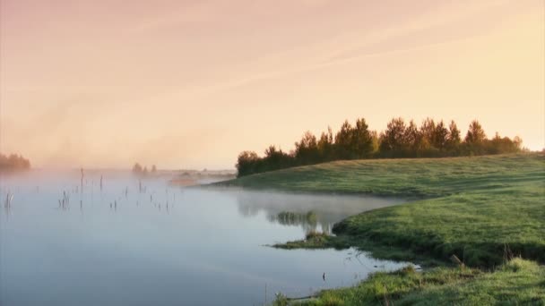 Coucher de soleil dans les marais — Video