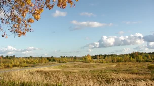 Paisagem de outono — Vídeo de Stock