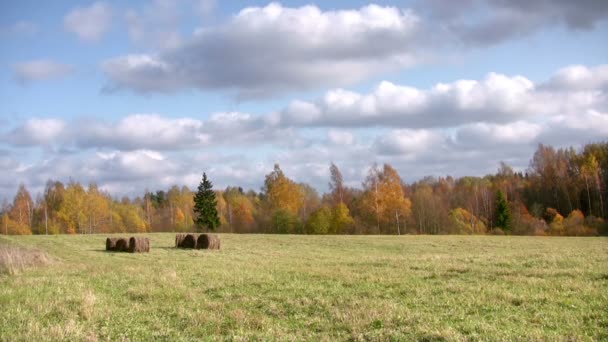 Осенний пейзаж — стоковое видео