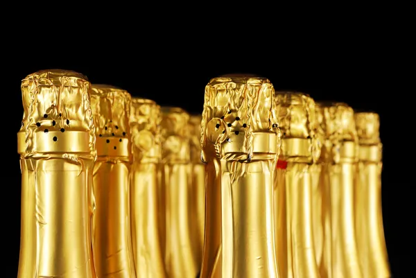 Champagne bottles — Stock Photo, Image