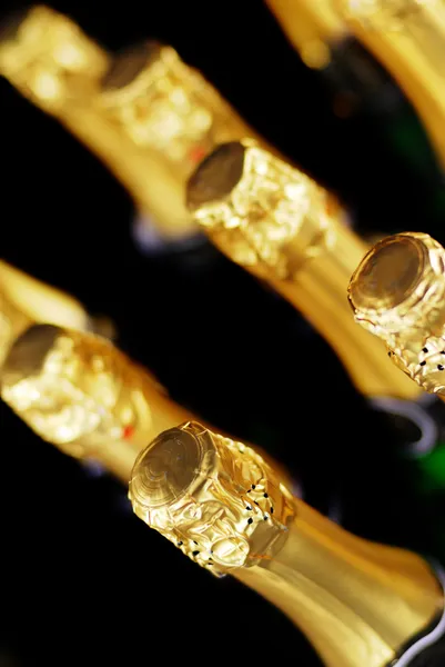 Champagne bottles — Stock Photo, Image