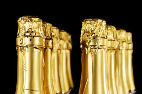 Botellas de champán — Foto de Stock