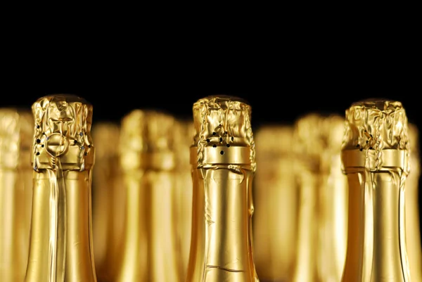 Champagne flessen — Stockfoto