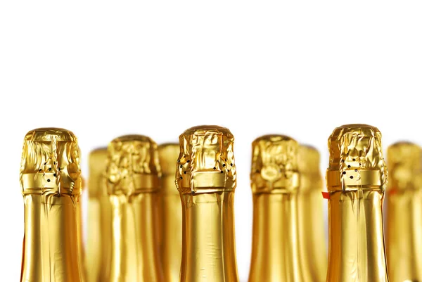 Champagne bottles — Stock Photo, Image