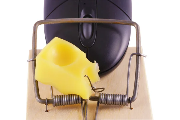 Computer mouse and mousetrap — Stock Photo, Image