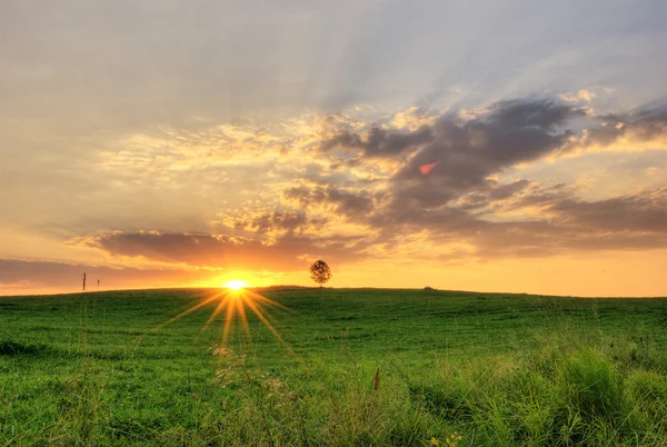 Summer morning — Stock Photo, Image