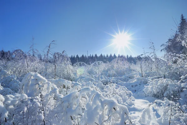 Russian winter — Stock Photo, Image