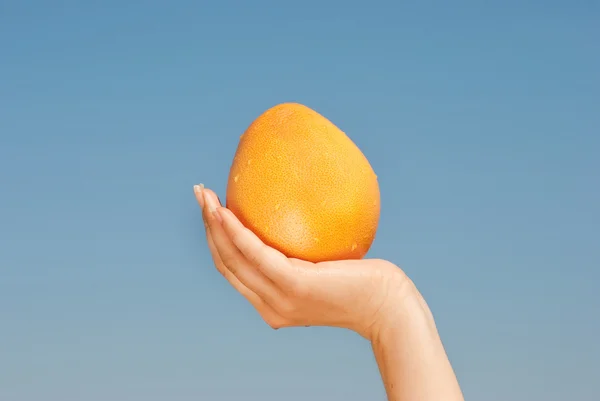 Яблочный грейпфрут в руке девушки над голубым небом — стоковое фото