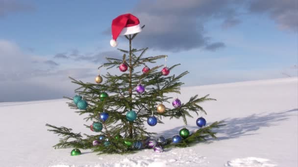Weihnachtsbaum — Stockvideo