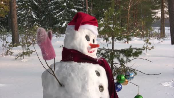 Feliz muñeco de nieve — Vídeo de stock