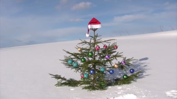 Árbol de Navidad — Vídeo de stock