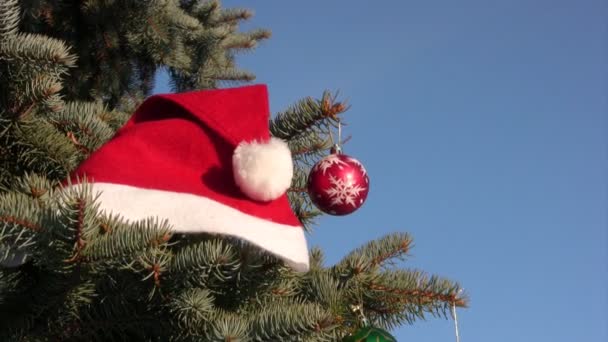 Vánoce a nový rok ornament — Stock video