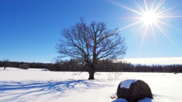 Winter timelapse — Stockvideo