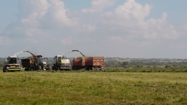 Harvest season — Stock Video