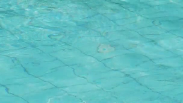 Frau schwimmt unter Wasser — Stockvideo
