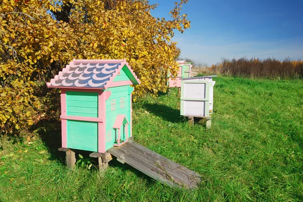 꿀 꿀벌 꿀벌 통 — 스톡 사진