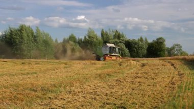 VELIKIE LUKI, PSKOV REGION, RUSSIA - 08 Ağustos 2021: Buğday tarlasında çalışan hasat makinesi