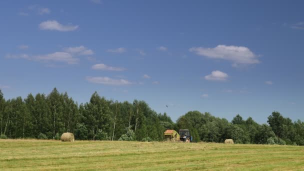 Capture Vidéo Travail Saisonnier Tracteur Agricole Préparation Des Aliments Récolte — Video