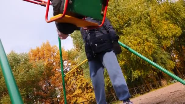 Vidéo Jeune Grand Mère Jouant Avec Petite Fille Sur Swing — Video