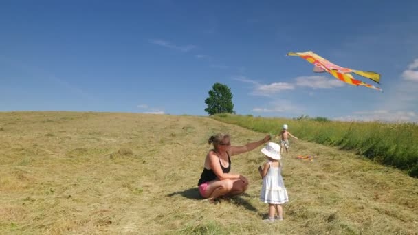 年轻的祖母和她的孙子孙女们在田里放着五彩缤纷的风筝 孤零零的树 — 图库视频影像