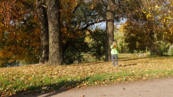 Wideo Małego Chłopca Spacerującego Parku Jesienią Słoneczny Dzień — Wideo stockowe