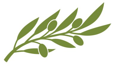 Olive branch clipart