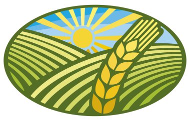 kulak ile yeşil alan