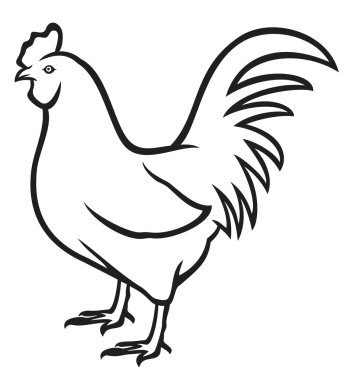 Rooster clipart