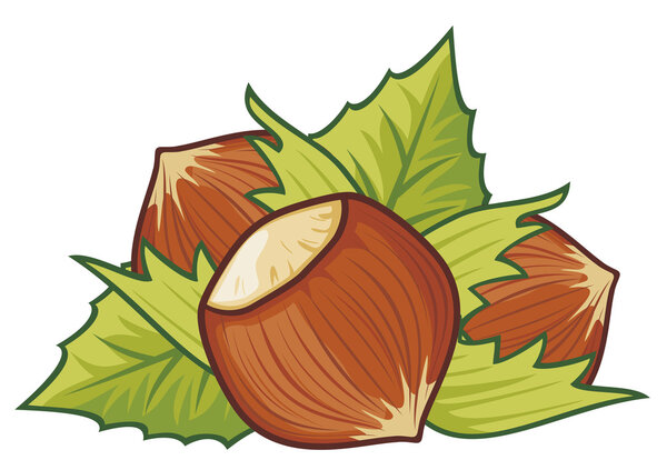 Фильтры с листьями
.