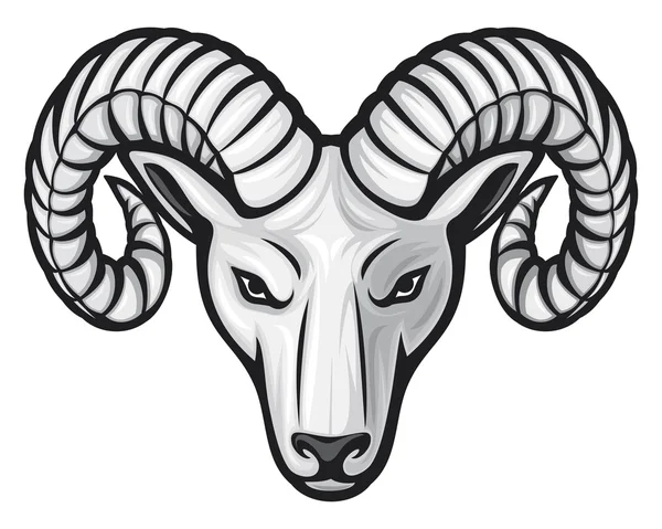 Head of the ram — Stock Vector