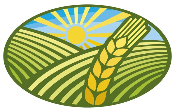 kulak ile yeşil alan