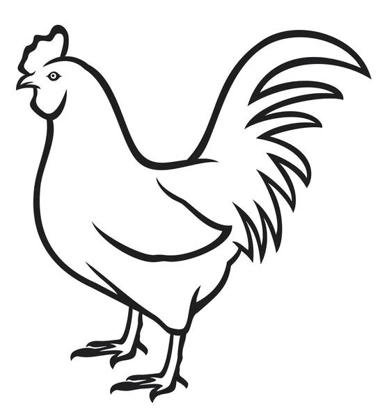 Coq — Image vectorielle