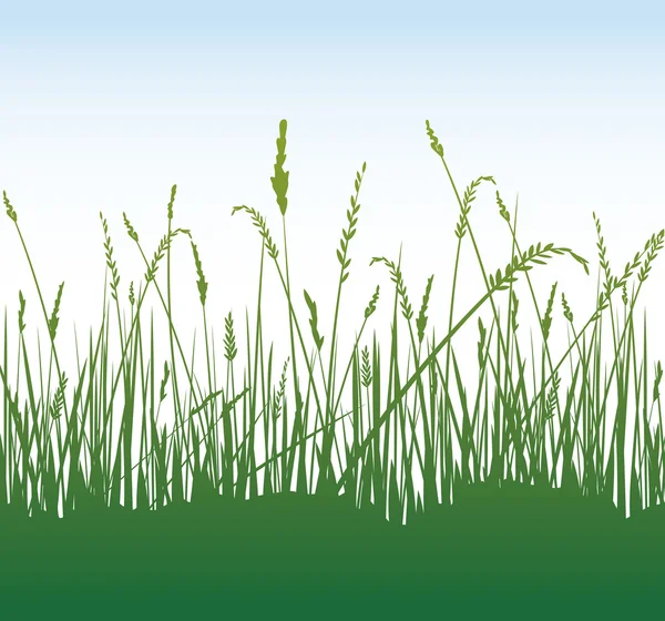 Green grass — Stock Vector