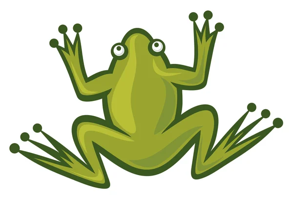 Grüner Frosch — Stockvektor