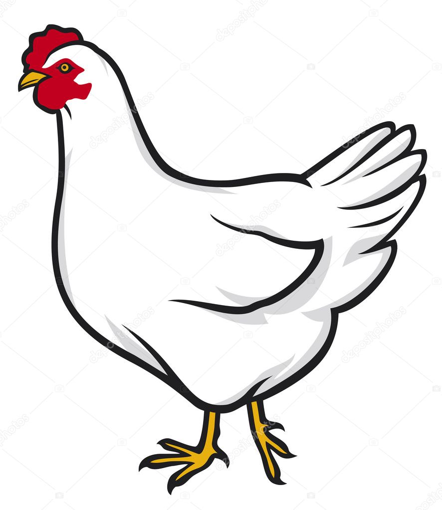 Chicken — Stock Vector © Tribaliumivanka #12677173