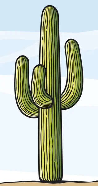 Cactus — Vector de stock