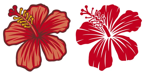 Belles fleurs rouges Hibiscus — Image vectorielle