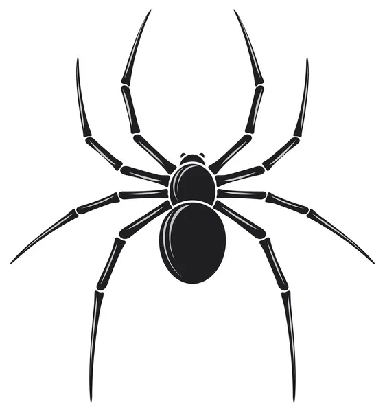 Spinne — Stockvektor