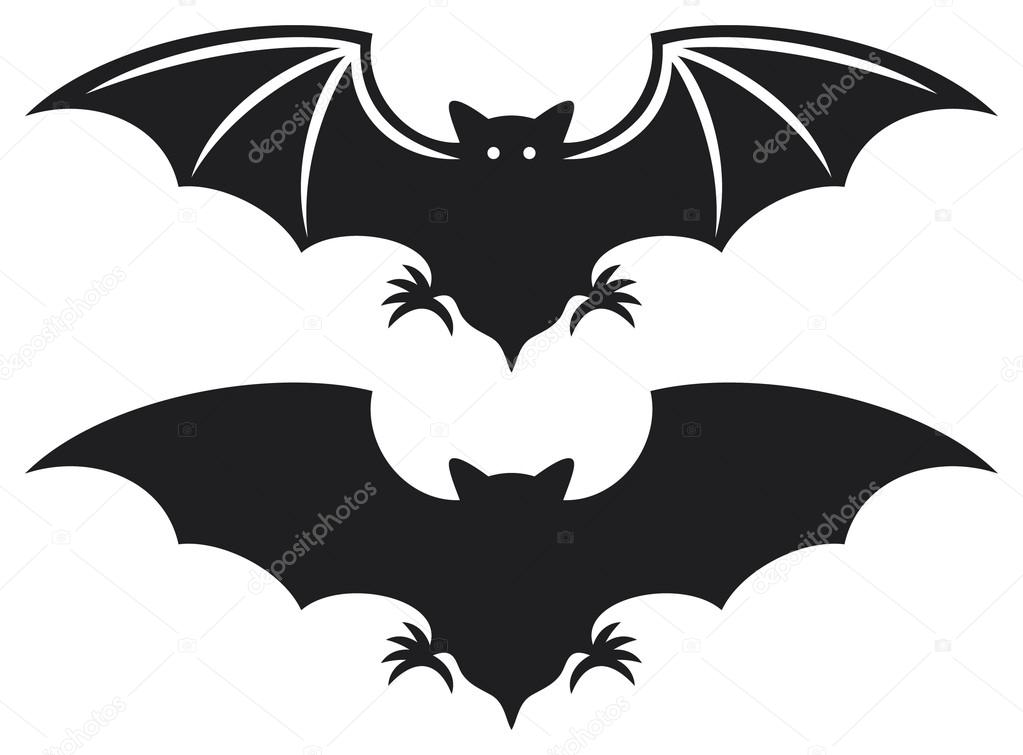 Silhouette of bat (flight of a bat)