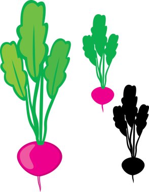 turp yaprakları ile