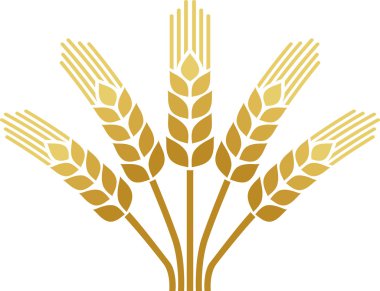 buğday kulak Icon set