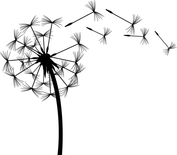 Dandelion in the wind — Stock Vector