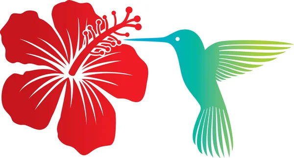 Colibrí y flor de hibisco rojo — Vector de stock