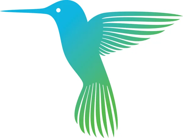 Aves de capoeira (colibri ) — Vetor de Stock